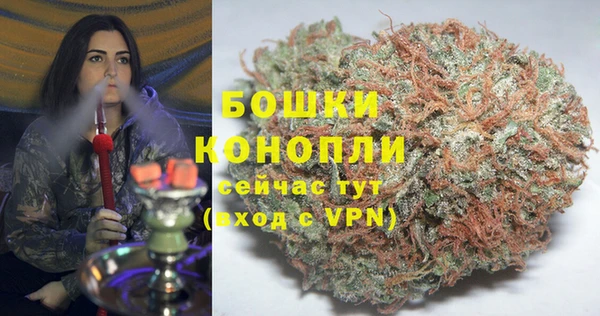 PSILOCYBIN Армянск