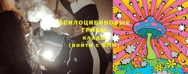 PSILOCYBIN Армянск