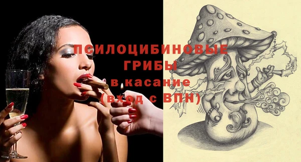 PSILOCYBIN Армянск