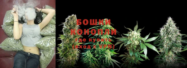 PSILOCYBIN Армянск