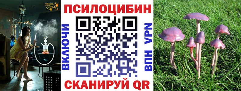 Галлюциногенные грибы мицелий  Суоярви 